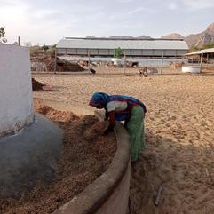 Corporate Social Responsibility